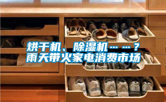 烘干機(jī)、除濕機(jī)……？雨天帶火家電消費(fèi)市場