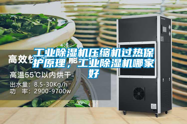 工業(yè)除濕機(jī)壓縮機(jī)過(guò)熱保護(hù)原理，工業(yè)除濕機(jī)哪家好