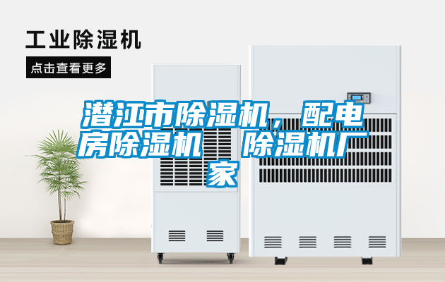潛江市除濕機(jī)，配電房除濕機(jī)  除濕機(jī)廠家