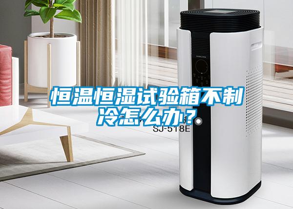 恒溫恒濕試驗箱不制冷怎么辦？