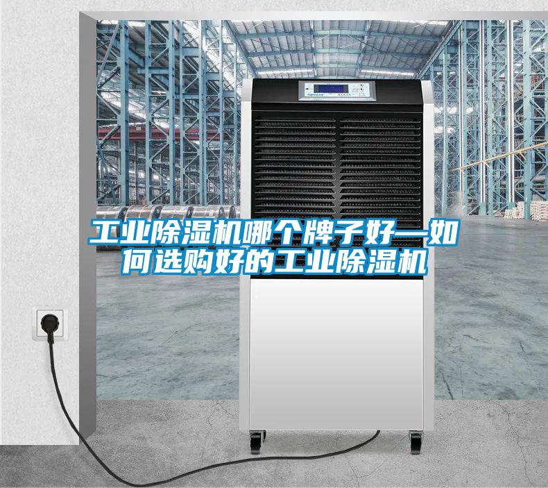 工業(yè)除濕機(jī)哪個(gè)牌子好—如何選購(gòu)好的工業(yè)除濕機(jī)