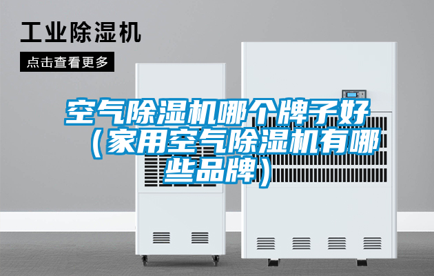 空氣除濕機(jī)哪個(gè)牌子好(家用空氣除濕機(jī)有哪些品牌)