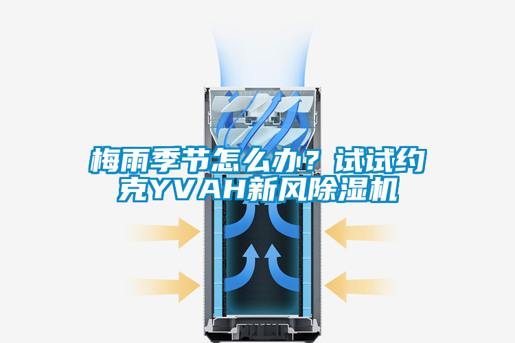 梅雨季節(jié)怎么辦？試試約克YVAH新風(fēng)除濕機(jī)