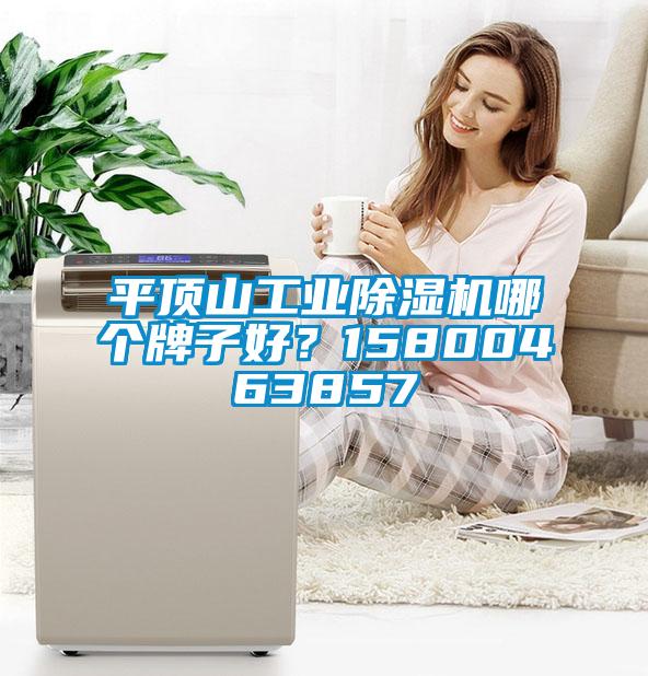 平頂山工業(yè)除濕機哪個牌子好？15800463857