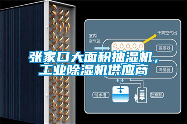 張家口大面積抽濕機，工業(yè)除濕機供應(yīng)商