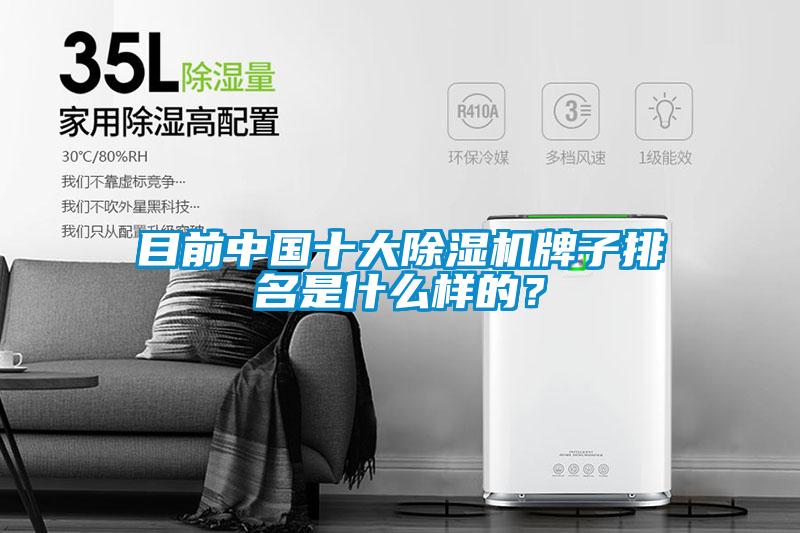 目前中國(guó)十大除濕機(jī)牌子排名是什么樣的？