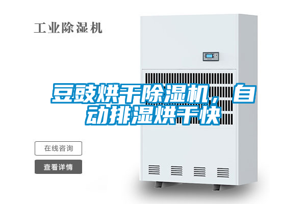 豆豉烘干除濕機(jī),自動排濕烘干快