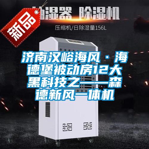 濟(jì)南漢峪海風(fēng)·海德堡被動房12大黑科技之——森德新風(fēng)一體機(jī)