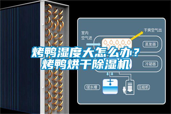 烤鴨濕度大怎么辦？烤鴨烘干除濕機(jī)