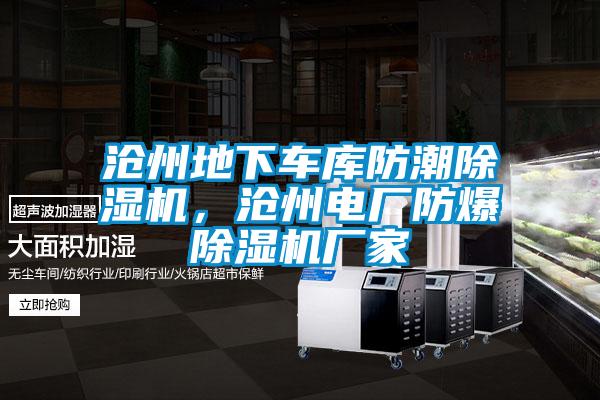 滄州地下車庫(kù)防潮除濕機(jī)，滄州電廠防爆除濕機(jī)廠家