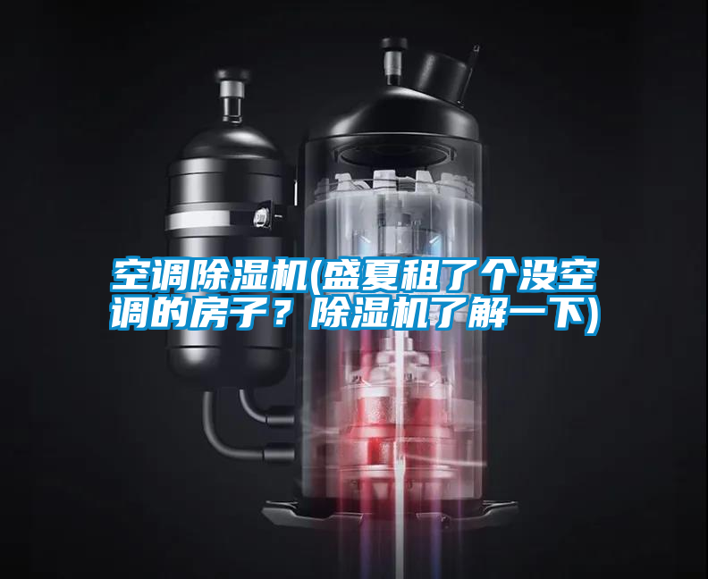 空調(diào)除濕機(jī)(盛夏租了個(gè)沒(méi)空調(diào)的房子？除濕機(jī)了解一下)