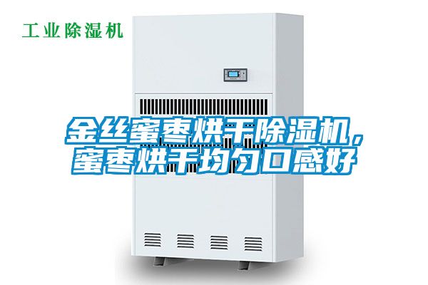 金絲蜜棗烘干除濕機，蜜棗烘干均勻口感好