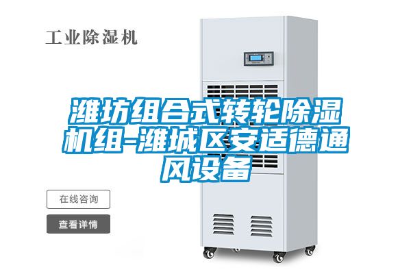 濰坊組合式轉輪除濕機組-濰城區(qū)安適德通風設備