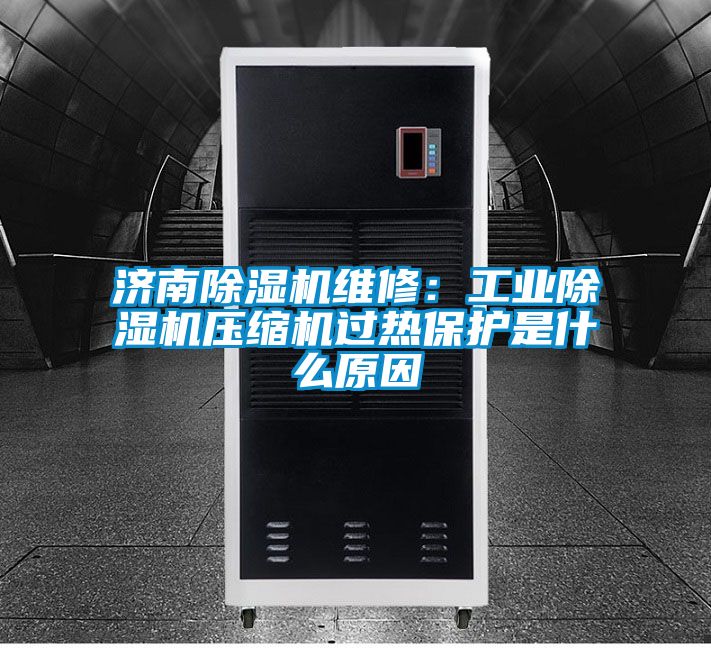 濟南除濕機維修:工業(yè)除濕機壓縮機過熱保護是什么原因