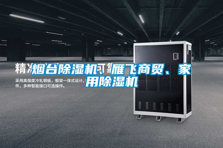 煙臺除濕機(jī)、雁飛商貿(mào)、家用除濕機(jī)