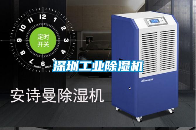 深圳工業(yè)除濕機(jī)