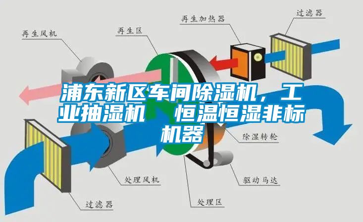 浦東新區(qū)車間除濕機，工業(yè)抽濕機  恒溫恒濕非標機器