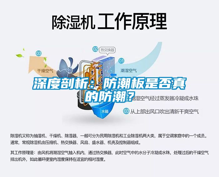 深度剖析：防潮板是否真的防潮？