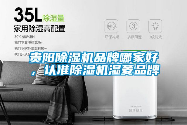 貴陽(yáng)除濕機(jī)品牌哪家好，認(rèn)準(zhǔn)除濕機(jī)濕菱品牌