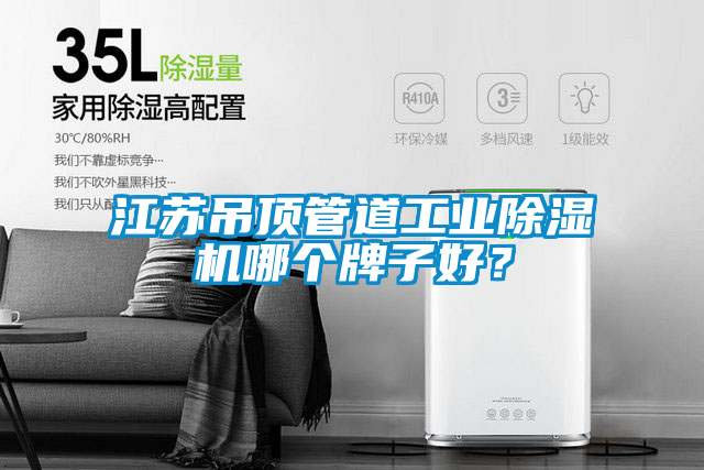 江蘇吊頂管道工業(yè)除濕機哪個牌子好？