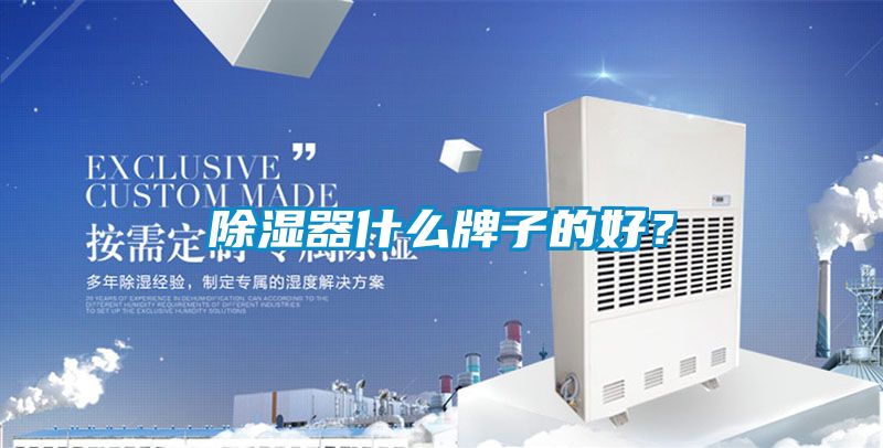 除濕器什么牌子的好？