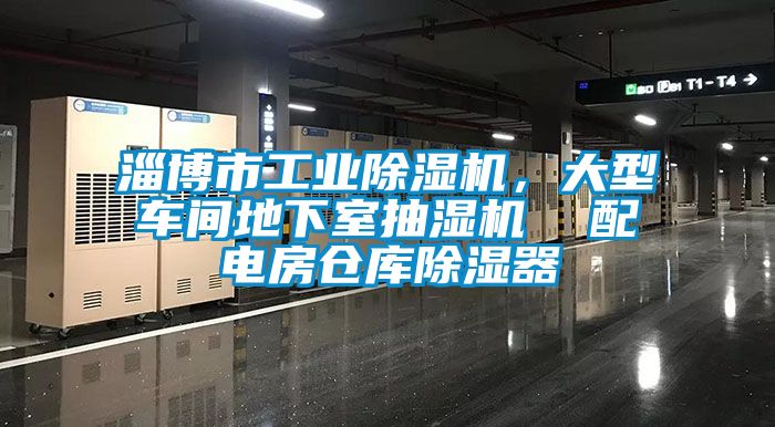 淄博市工業(yè)除濕機(jī),大型車間地下室抽濕機(jī) 配電房倉(cāng)庫(kù)除濕器