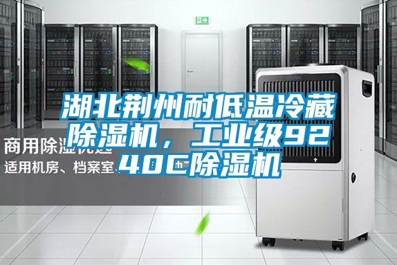 湖北荊州耐低溫冷藏除濕機，工業(yè)級9240C除濕機