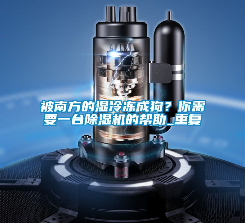 被南方的濕冷凍成狗？你需要一臺除濕機(jī)的幫助_重復(fù)