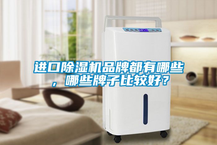 進(jìn)口除濕機(jī)品牌都有哪些，哪些牌子比較好？