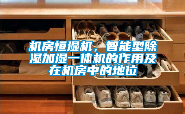 機(jī)房恒濕機(jī)，智能型除濕加濕一體機(jī)的作用及在機(jī)房中的地位
