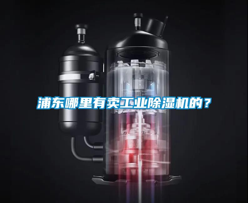 浦東哪里有賣工業(yè)除濕機的？