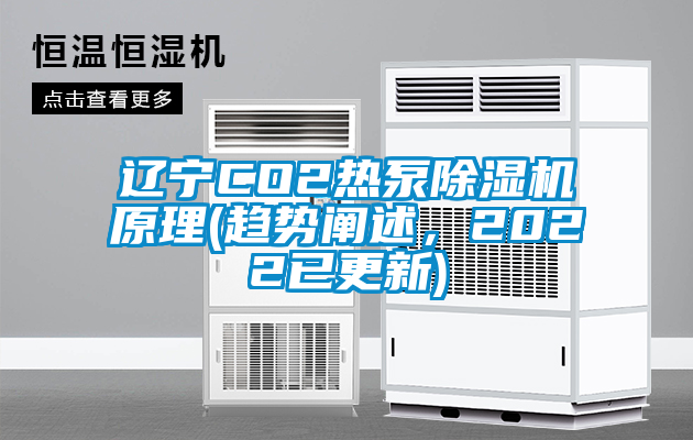 遼寧CO2熱泵除濕機原理(趨勢闡述，2022已更新)