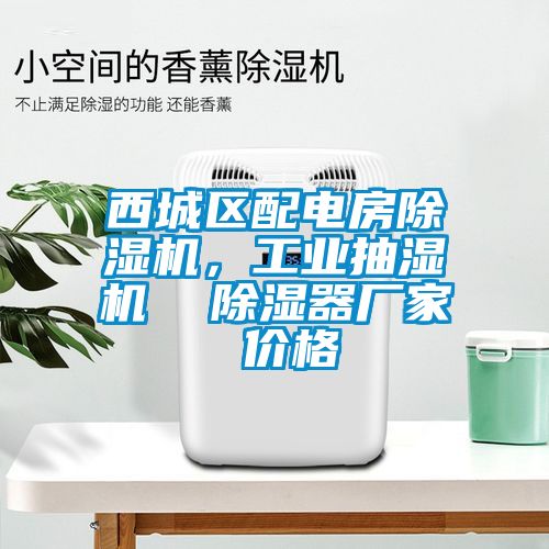 西城區(qū)配電房除濕機(jī)，工業(yè)抽濕機(jī)  除濕器廠家 價(jià)格