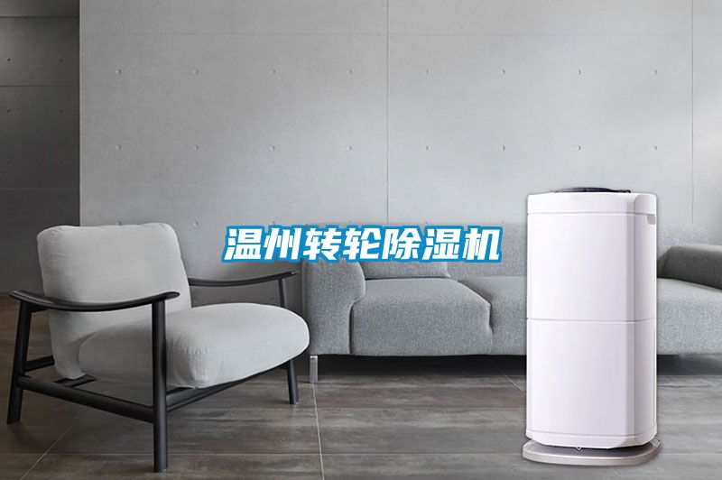 溫州轉(zhuǎn)輪除濕機