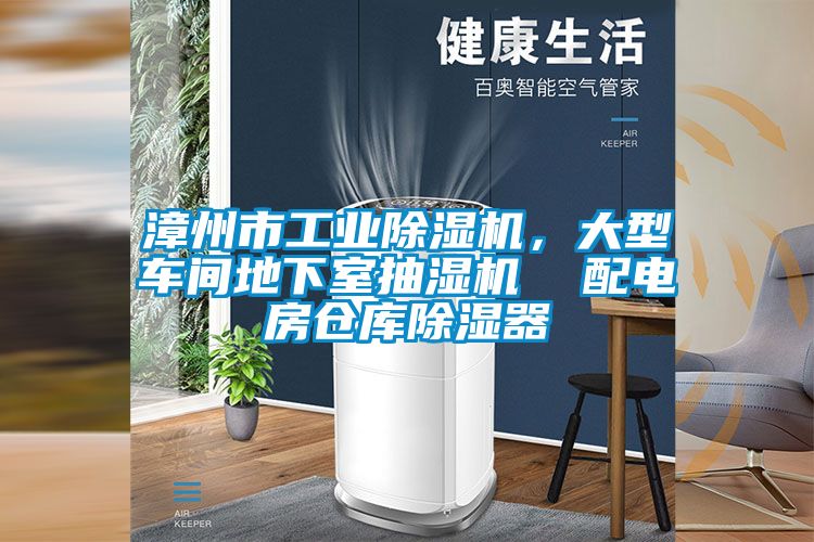 漳州市工業(yè)除濕機，大型車間地下室抽濕機  配電房倉庫除濕器
