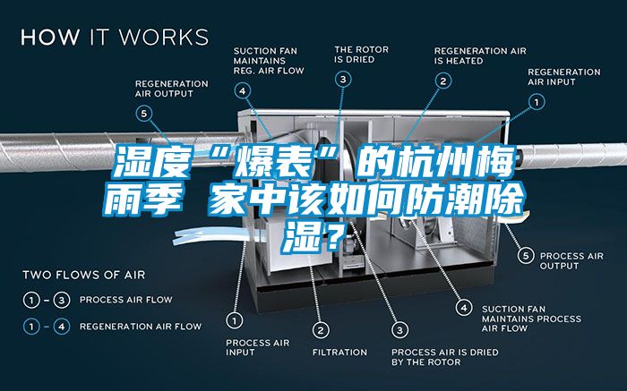 濕度“爆表”的杭州梅雨季 家中該如何防潮除濕？