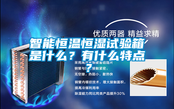 智能恒溫恒濕試驗(yàn)箱是什么？有什么特點(diǎn)？