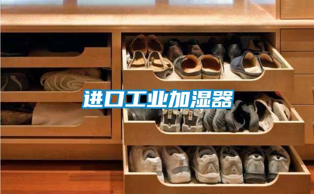 進口工業(yè)加濕器
