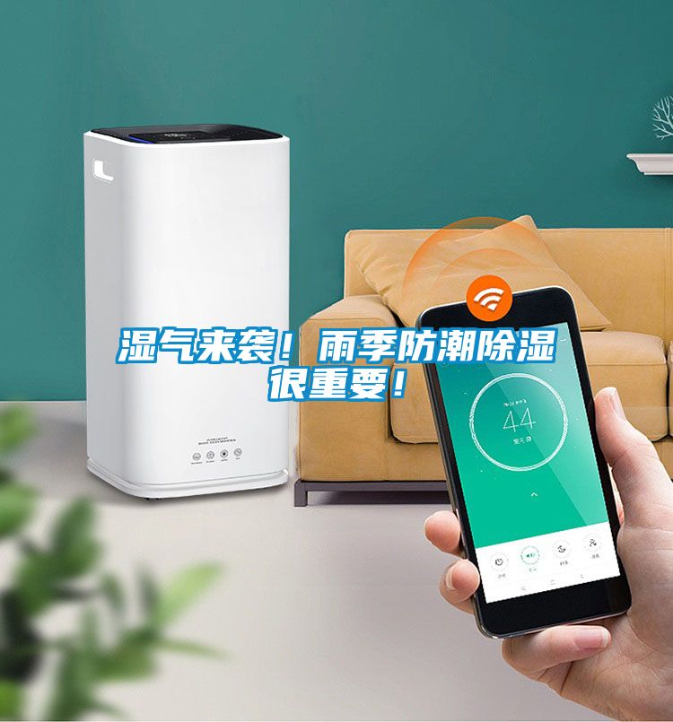 濕氣來襲！雨季防潮除濕很重要！