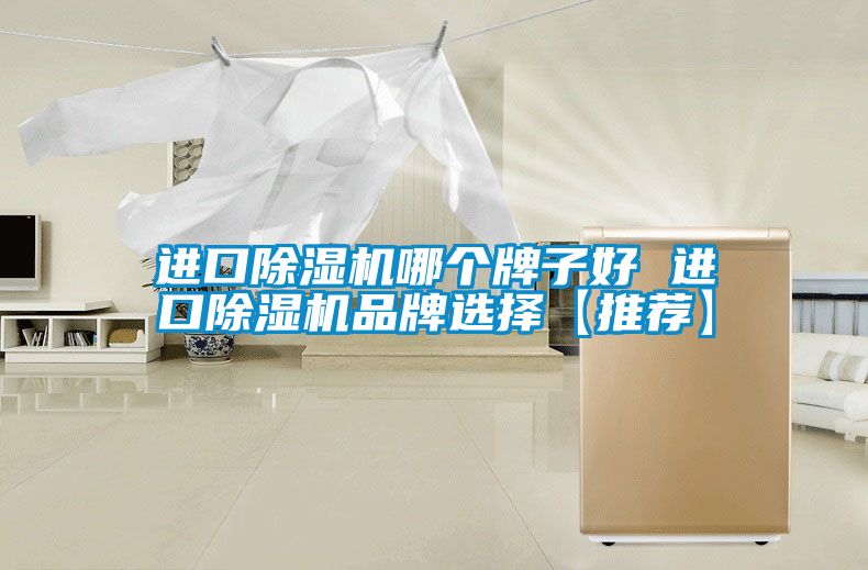 進(jìn)口除濕機哪個牌子好 進(jìn)口除濕機品牌選擇【推薦】