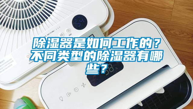除濕器是如何工作的？不同類型的除濕器有哪些？