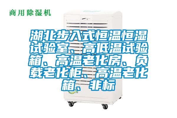 湖北步入式恒溫恒濕試驗(yàn)室、高低溫試驗(yàn)箱、高溫老化房、負(fù)載老化柜、高溫老化箱、非標(biāo)