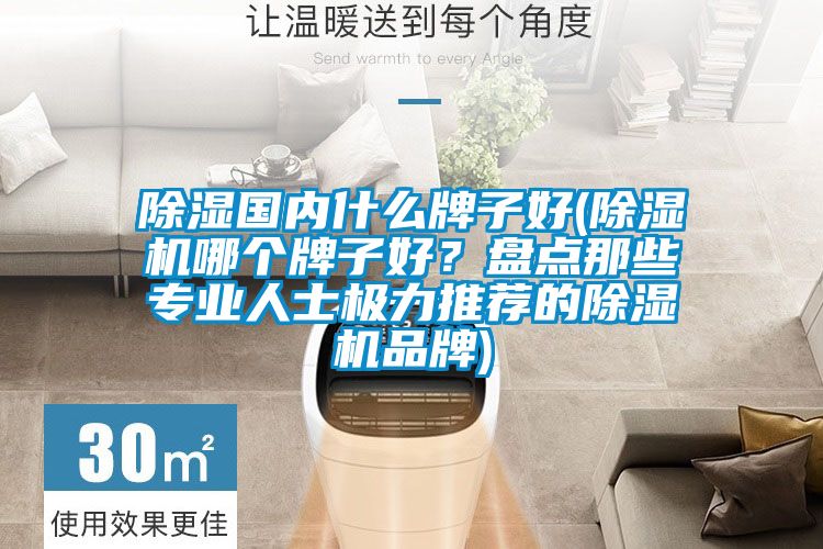 除濕國(guó)內(nèi)什么牌子好(除濕機(jī)哪個(gè)牌子好？盤點(diǎn)那些專業(yè)人士極力推薦的除濕機(jī)品牌)