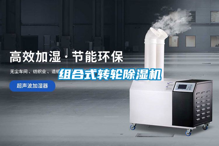 組合式轉(zhuǎn)輪除濕機