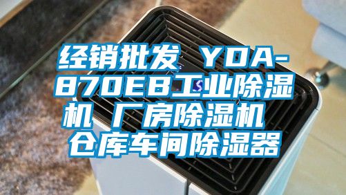 經銷批發(fā) YDA-870EB工業(yè)除濕機 廠房除濕機 倉庫車間除濕器