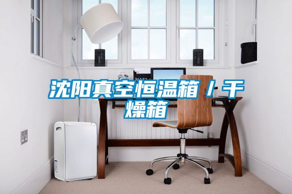 沈陽真空恒溫箱/干燥箱