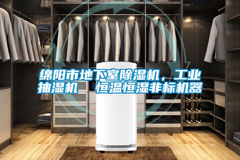 綿陽市地下室除濕機，工業(yè)抽濕機  恒溫恒濕非標(biāo)機器