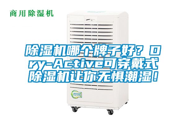 除濕機哪個牌子好？Dry-Active可穿戴式除濕機讓你無懼潮濕！
