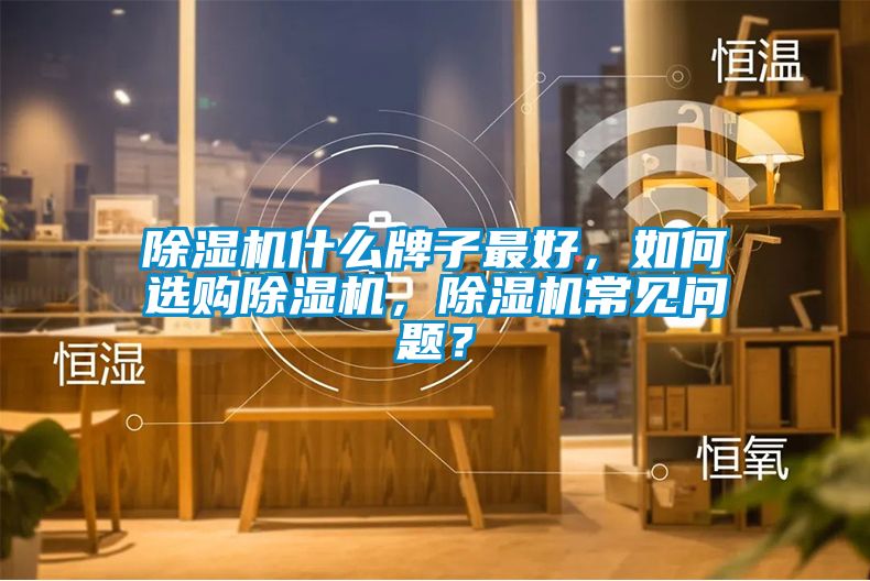 除濕機什么牌子最好，如何選購除濕機，除濕機常見問題？