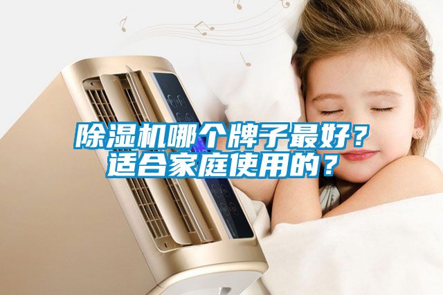 除濕機哪個牌子最好？適合家庭使用的？